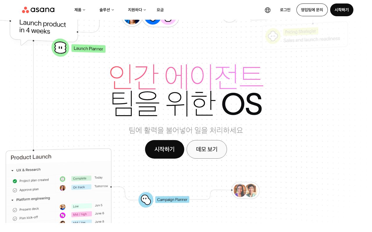 Asana 화면